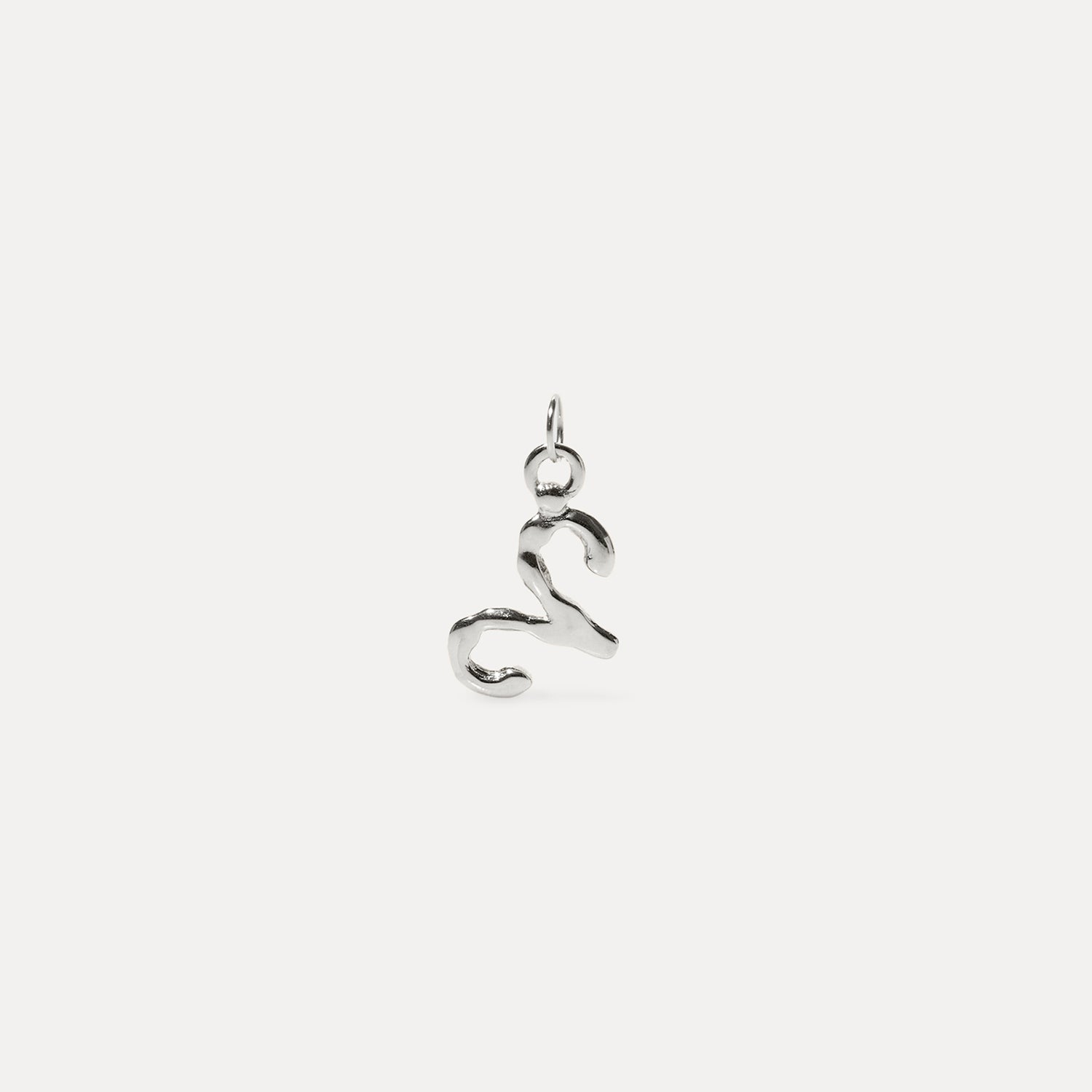 Zodiac Charm Anhänger