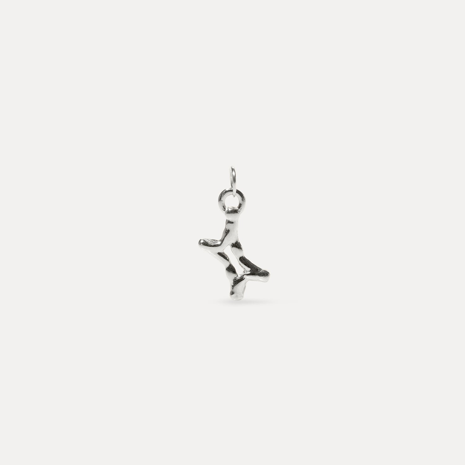 Zodiac Charm Anhänger