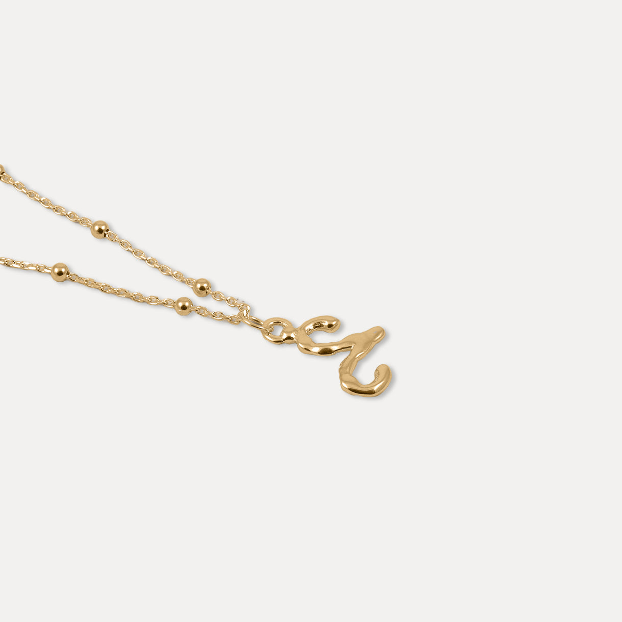 Zodiac Charm Necklace