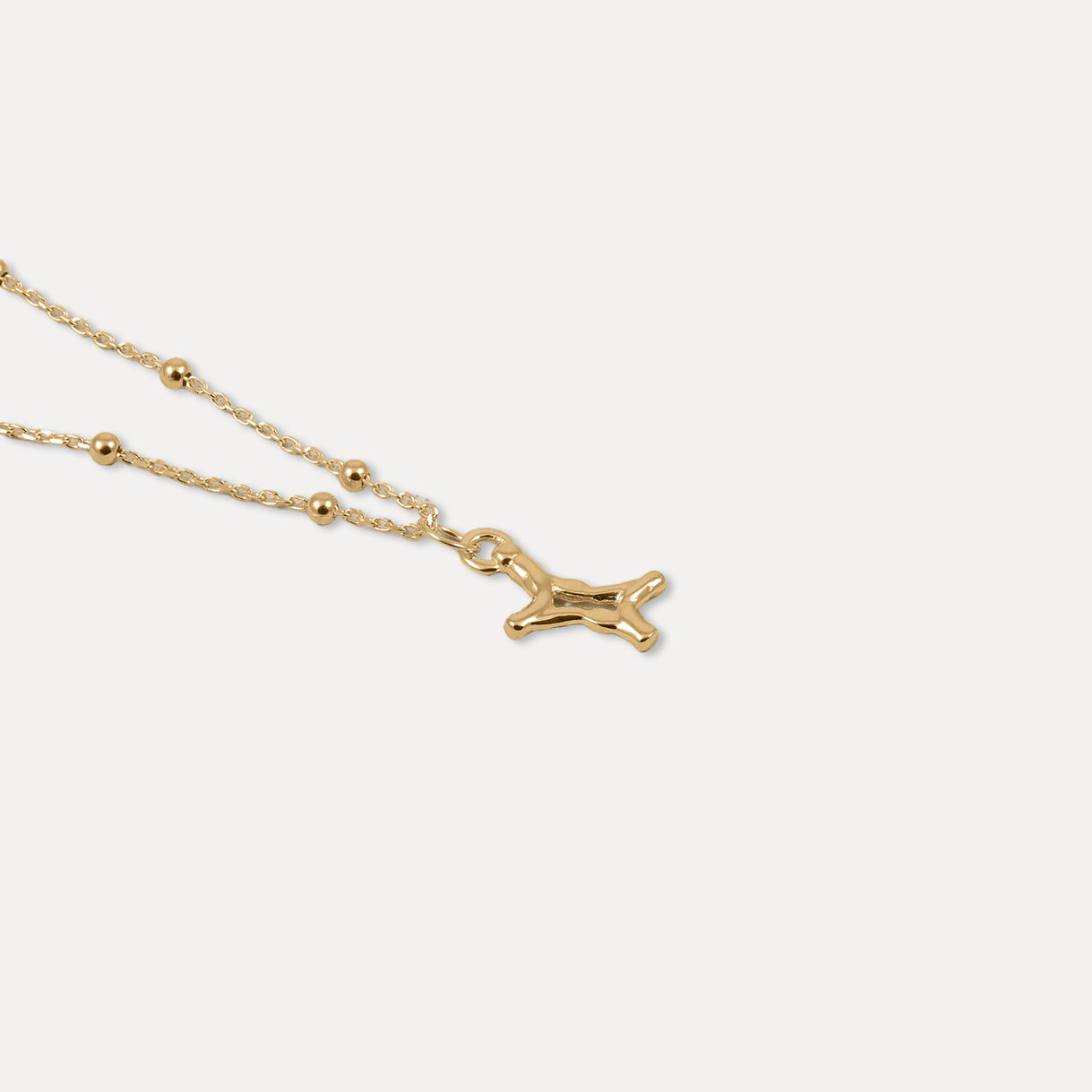Zodiac Charm Necklace