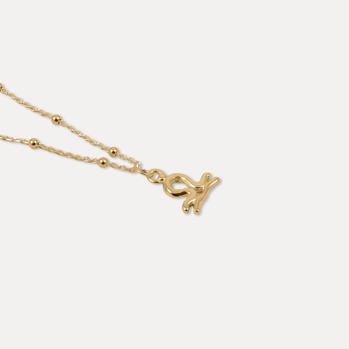 Zodiac Charm Necklace