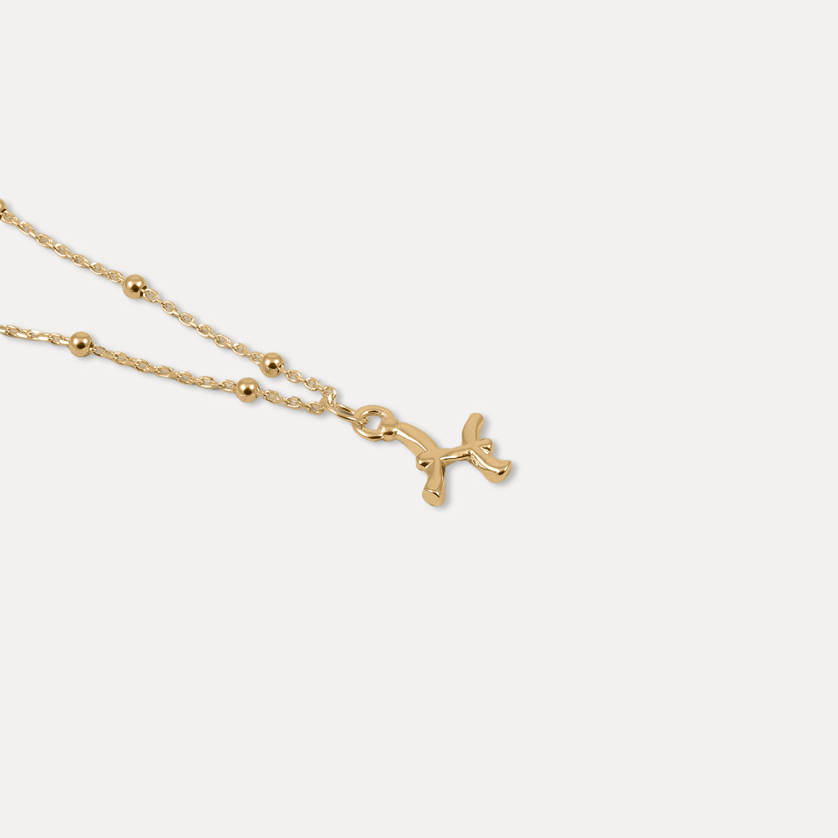 Zodiac Charm Necklace