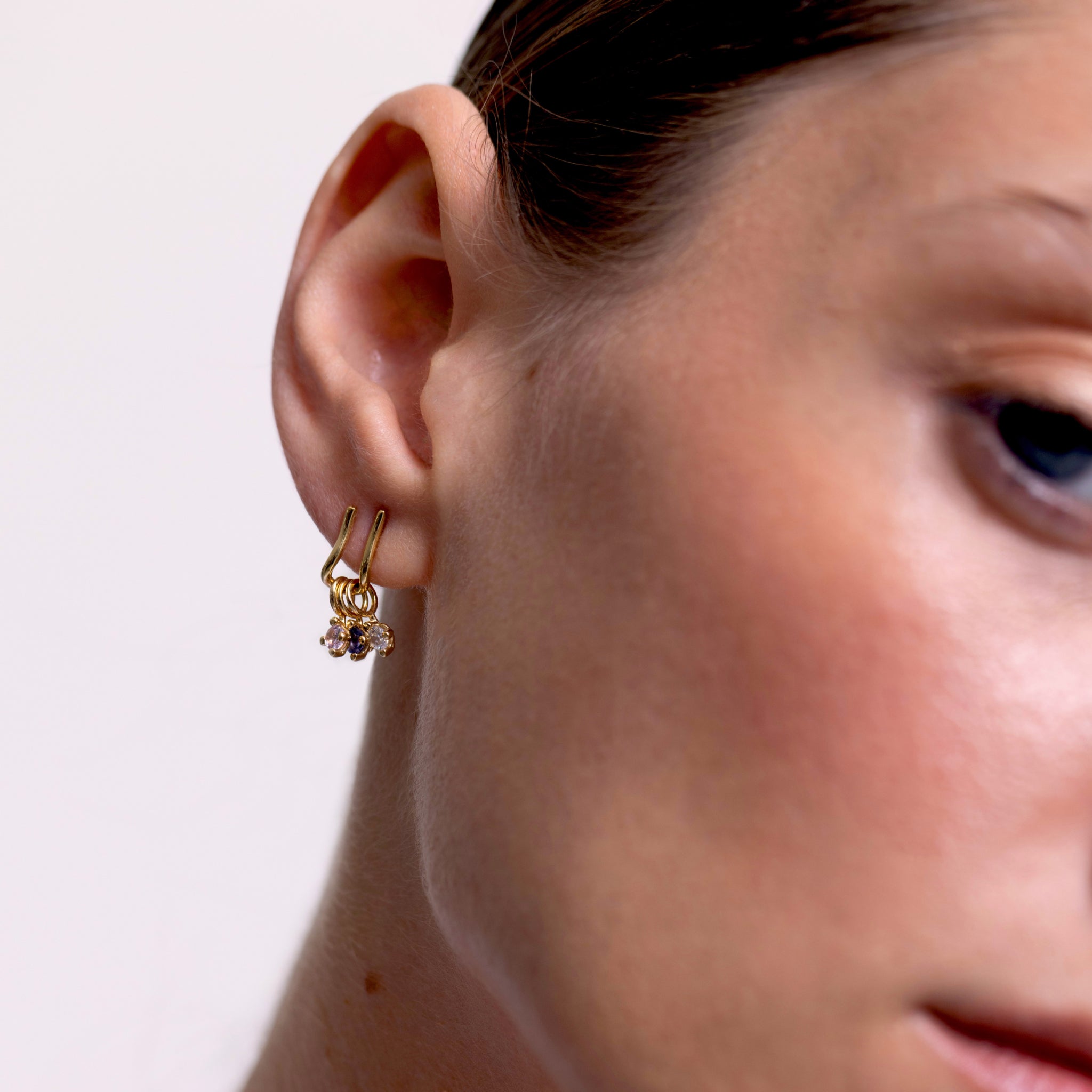 Charm Hanger Hoops Earrings
