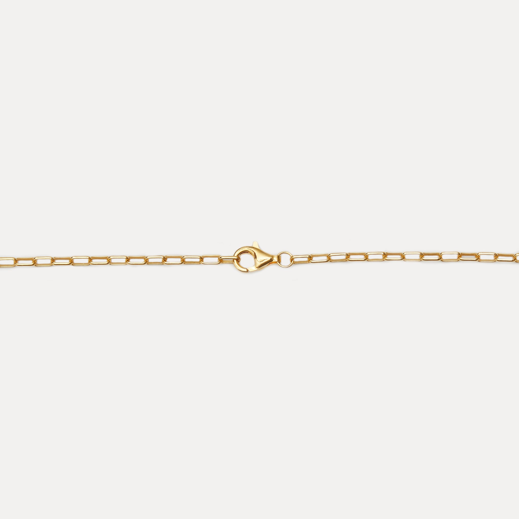 Catena Long Link Necklace