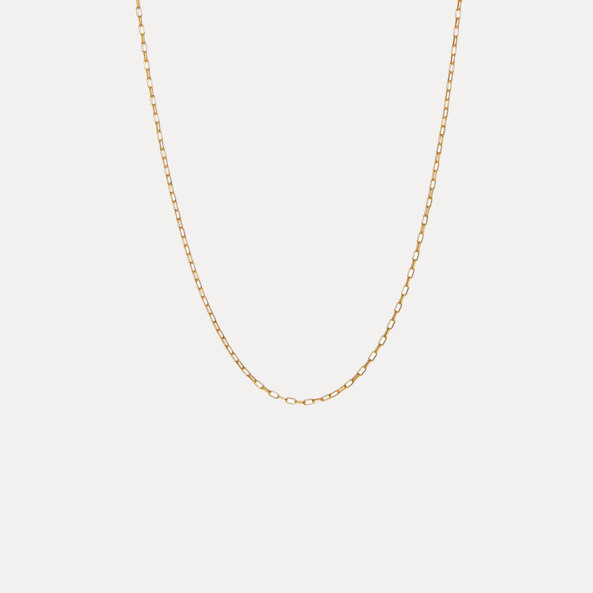 Catena Long Link Necklace