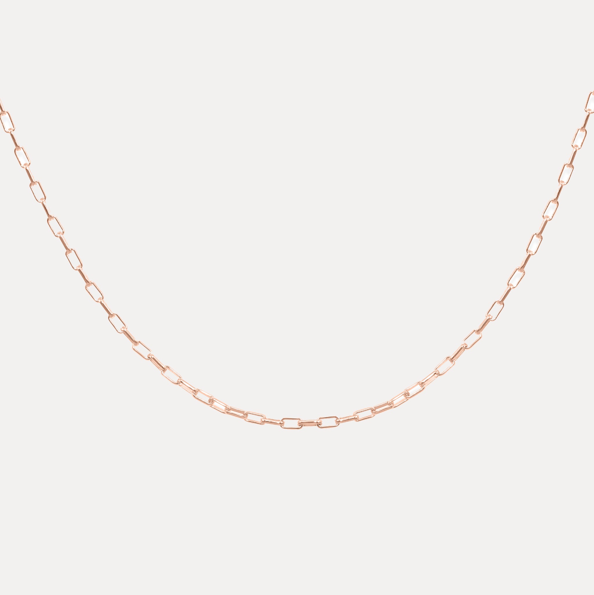 Catena Long Link Necklace