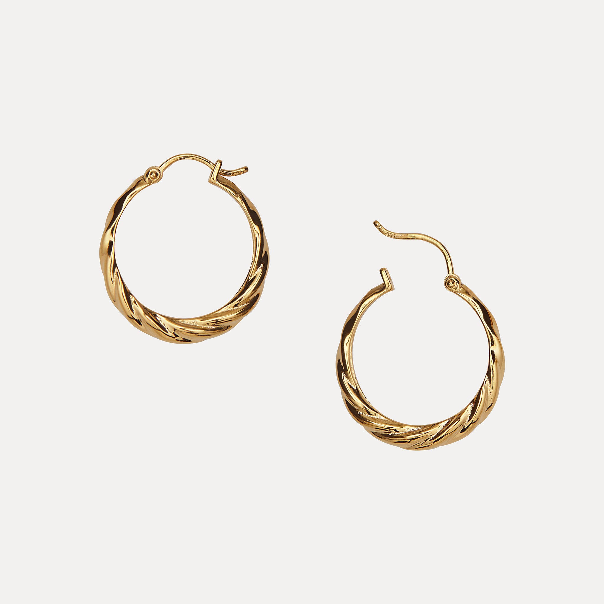 Nest Hoop Earrings