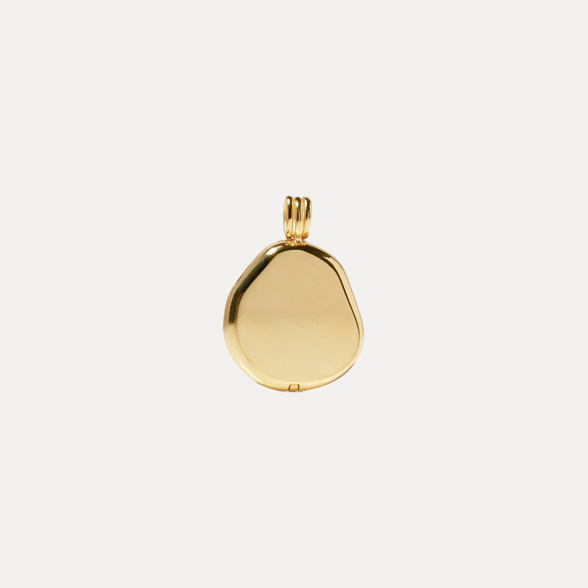 Organic Liquid Locket Necklace | 14k Gold