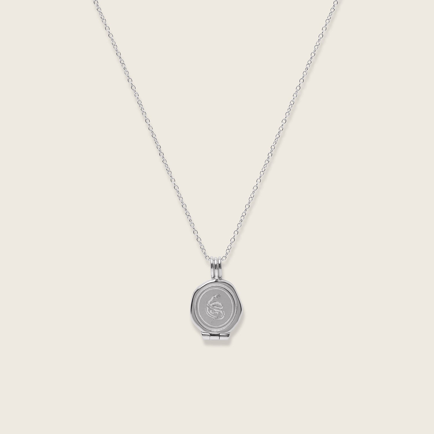 Snake Seal Locket Necklace