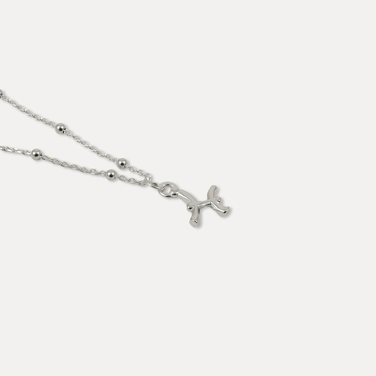 Zodiac Charm Necklace