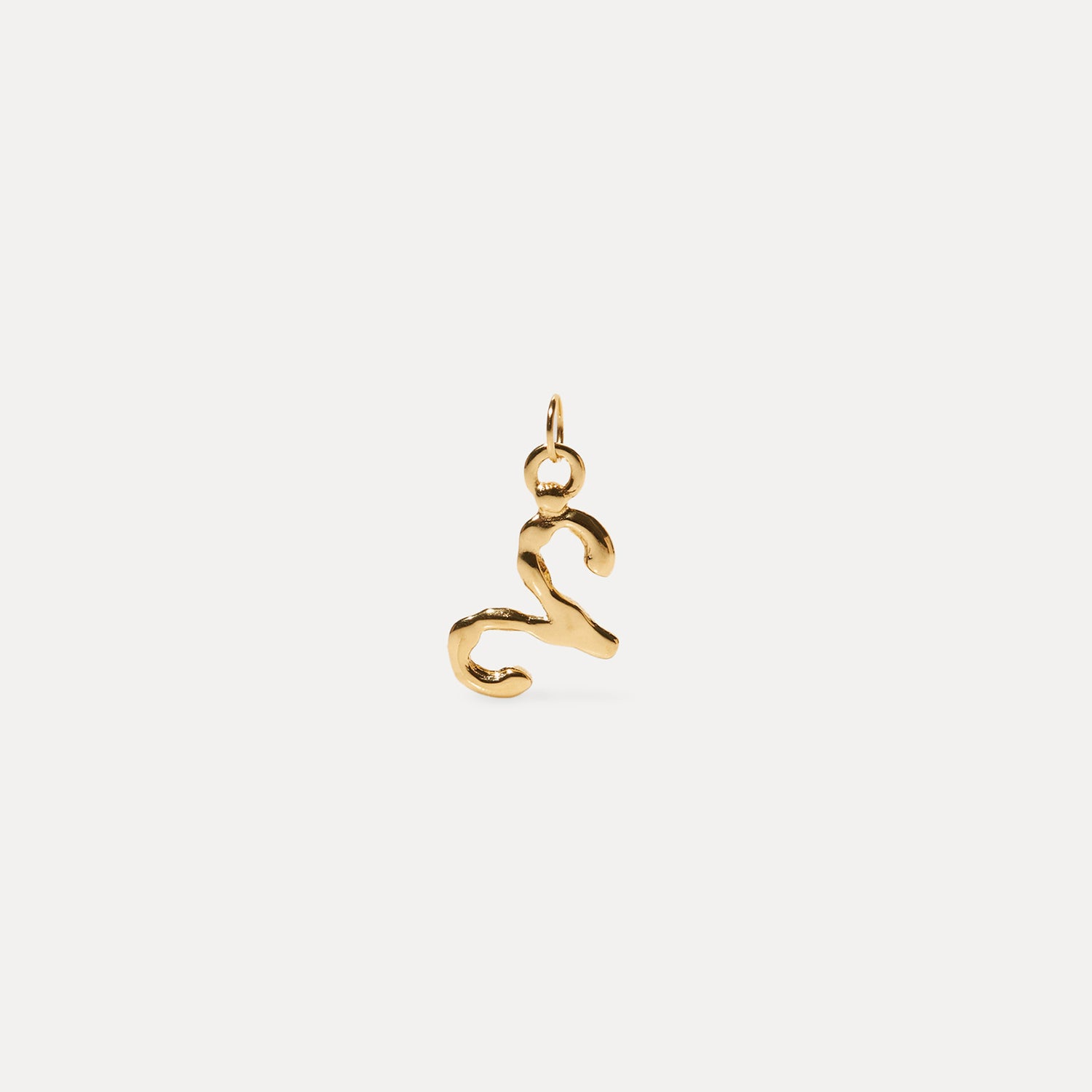 Zodiac Charm Anhänger