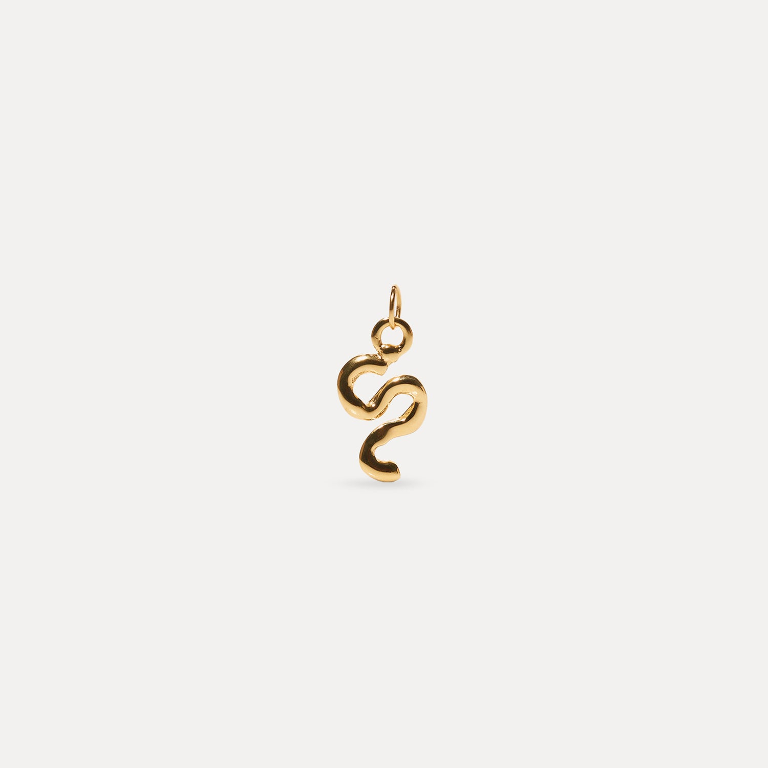 Zodiac Charm Anhänger