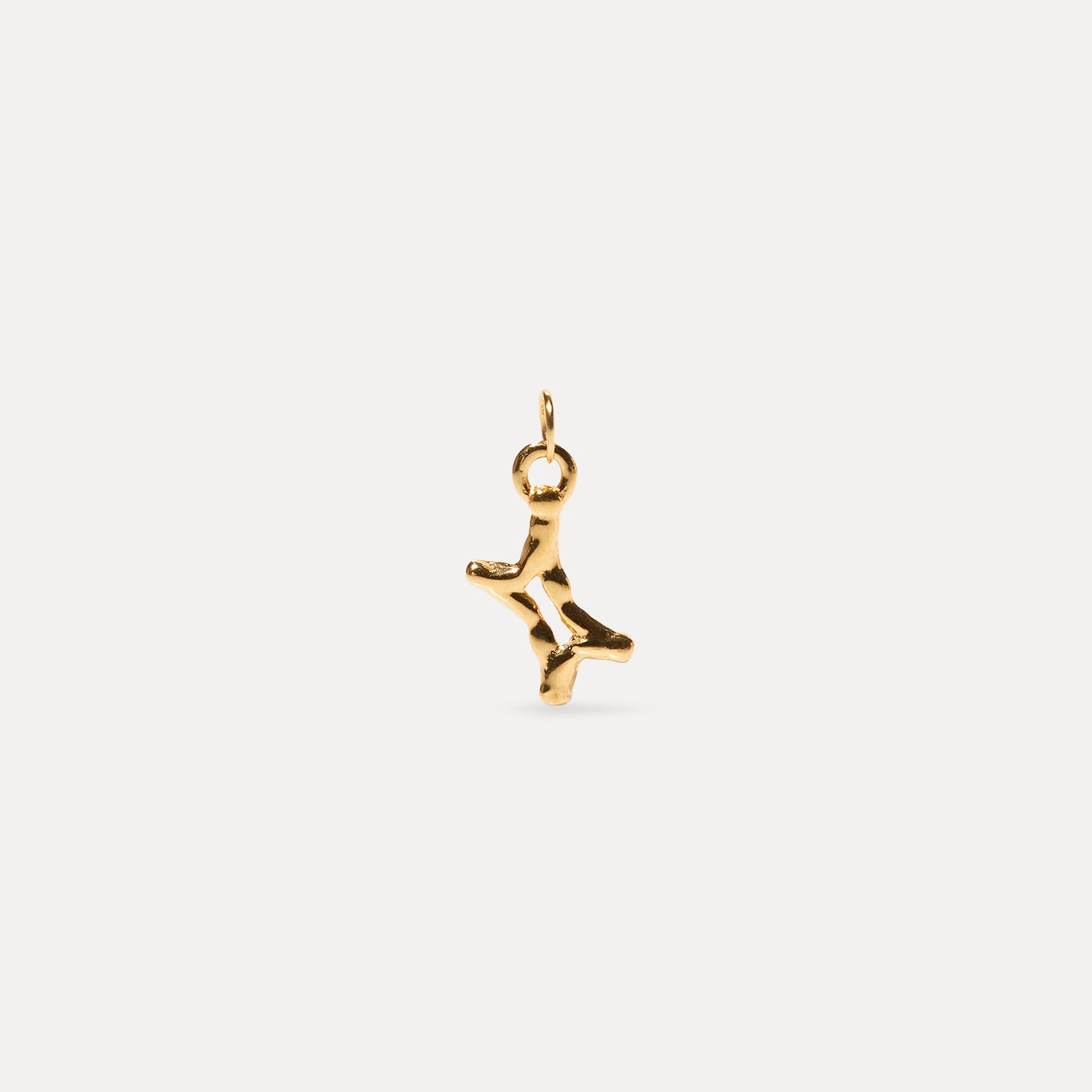 Zodiac Charm Anhänger