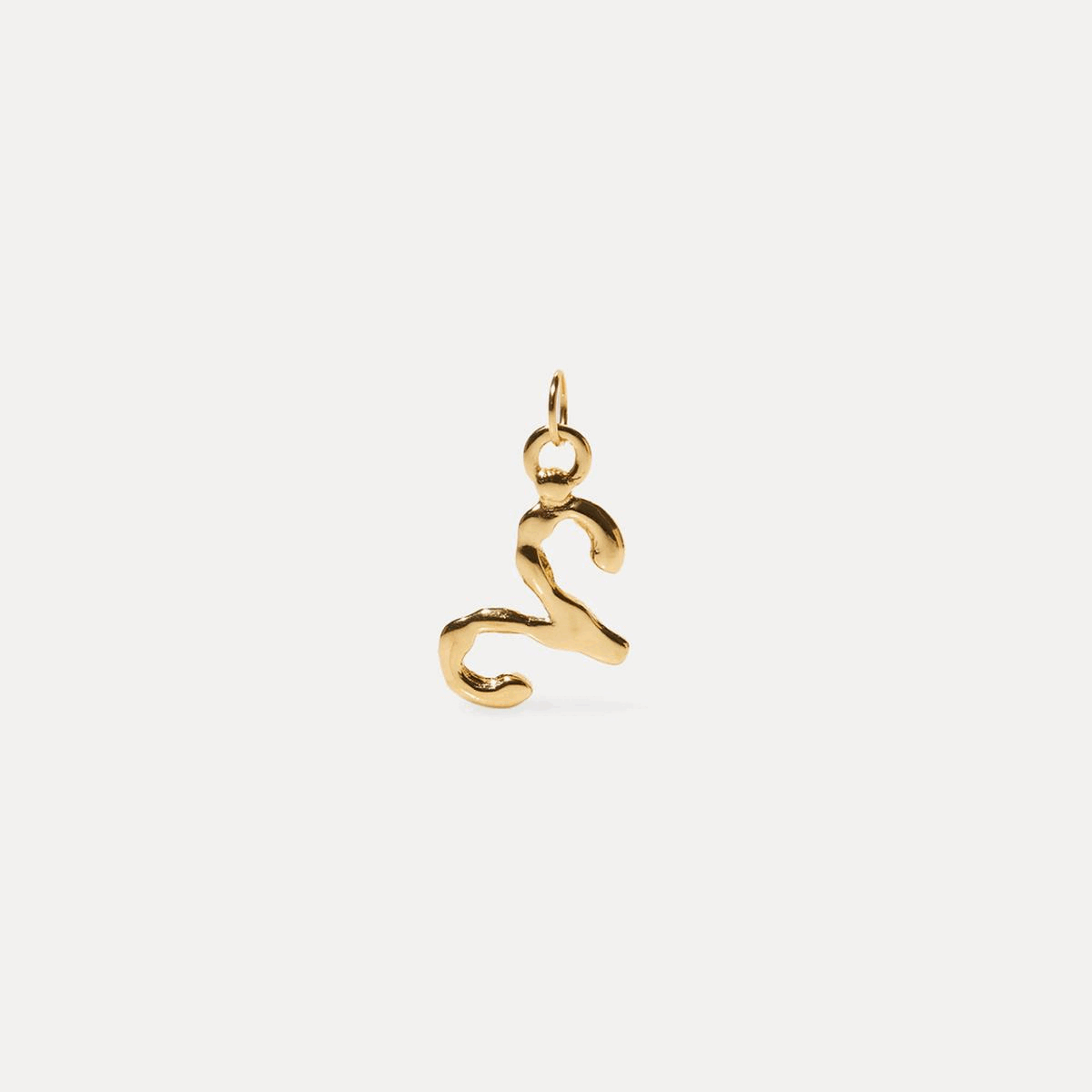 Zodiac Charm Pendant