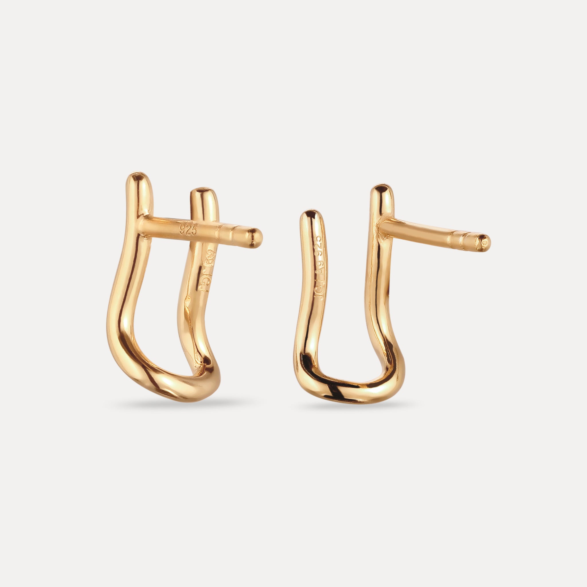 Charm Hanger Hoops Earrings