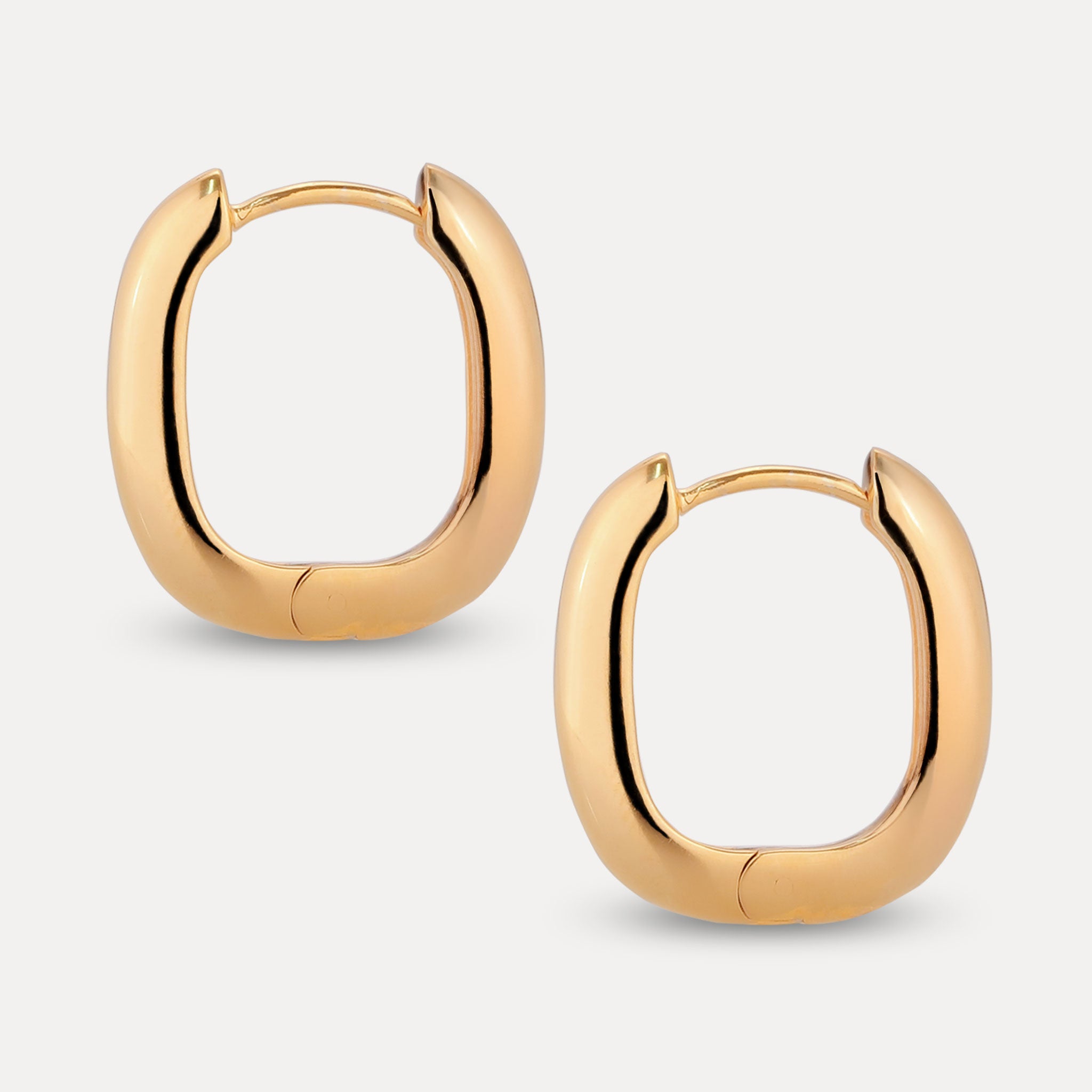 Contour Hoops Earrings