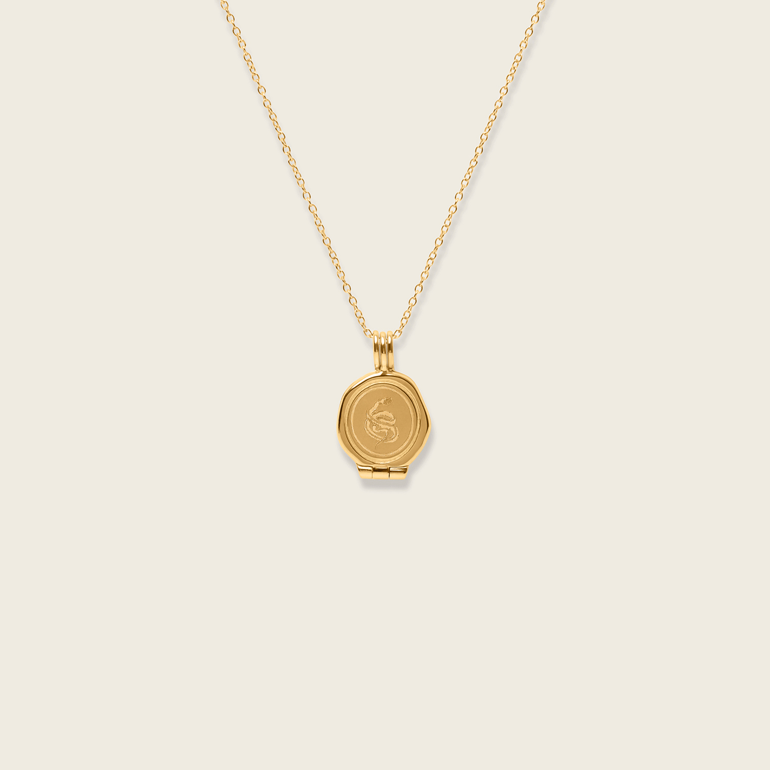 Snake Seal Locket Necklace