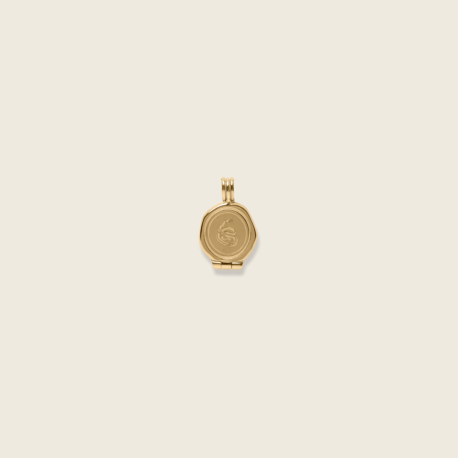 Snake Seal Medaillon Anhänger | 14k Gold