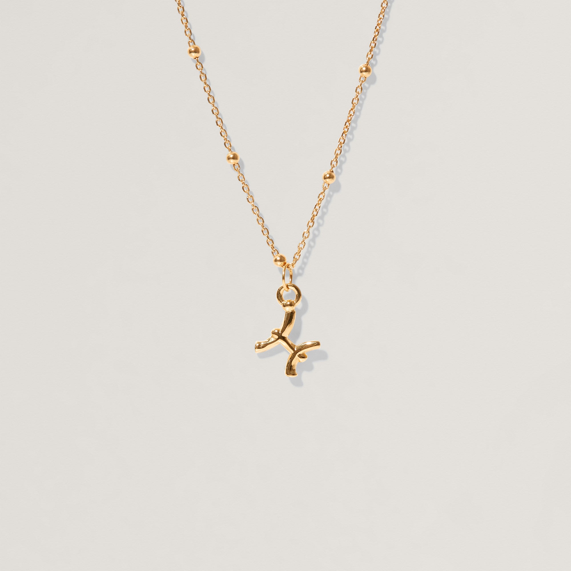 Zodiac Charm Necklace