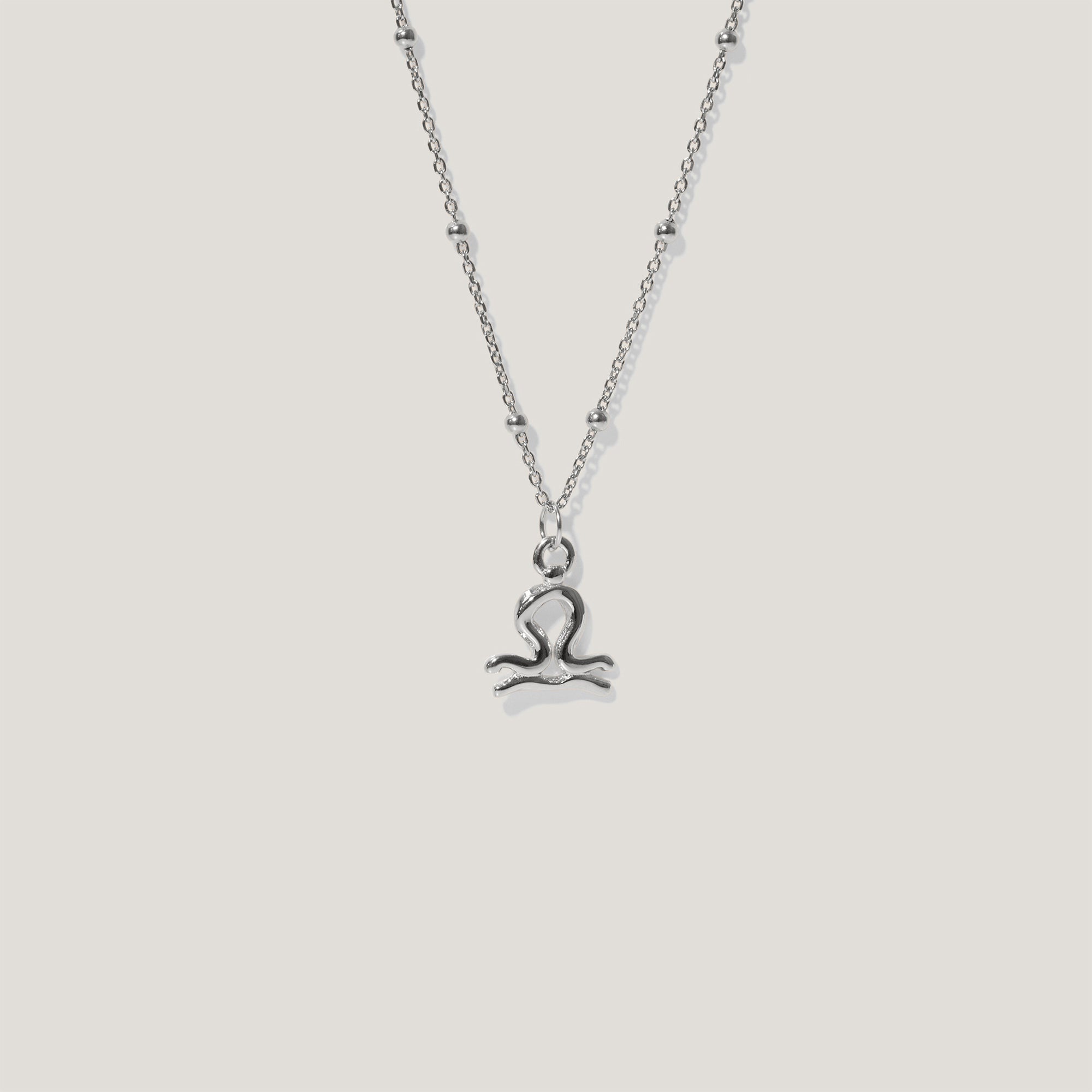 Zodiac Charm Necklace
