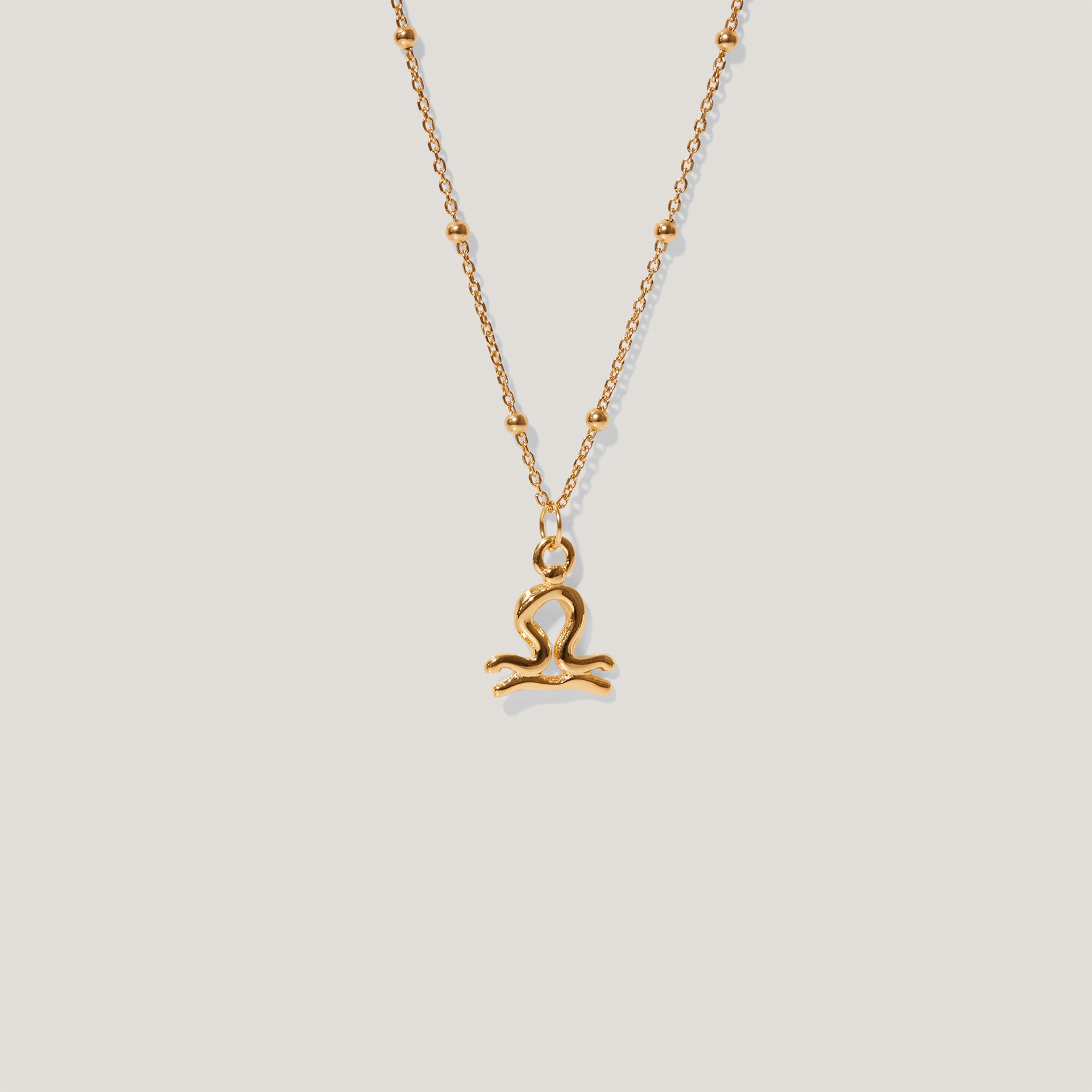 Zodiac Charm Necklace