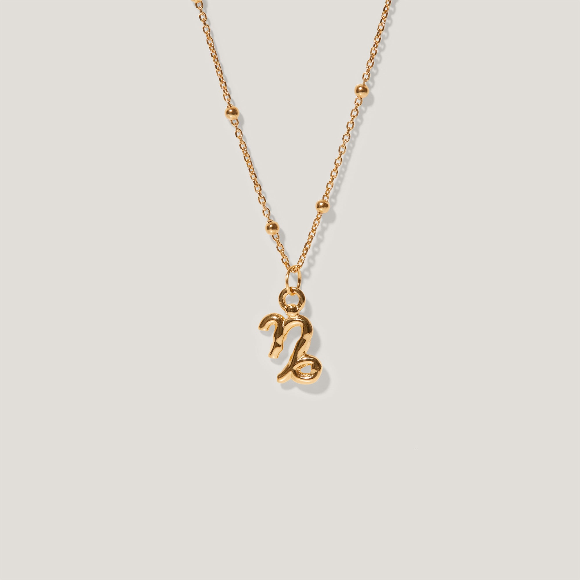 Zodiac Charm Necklace