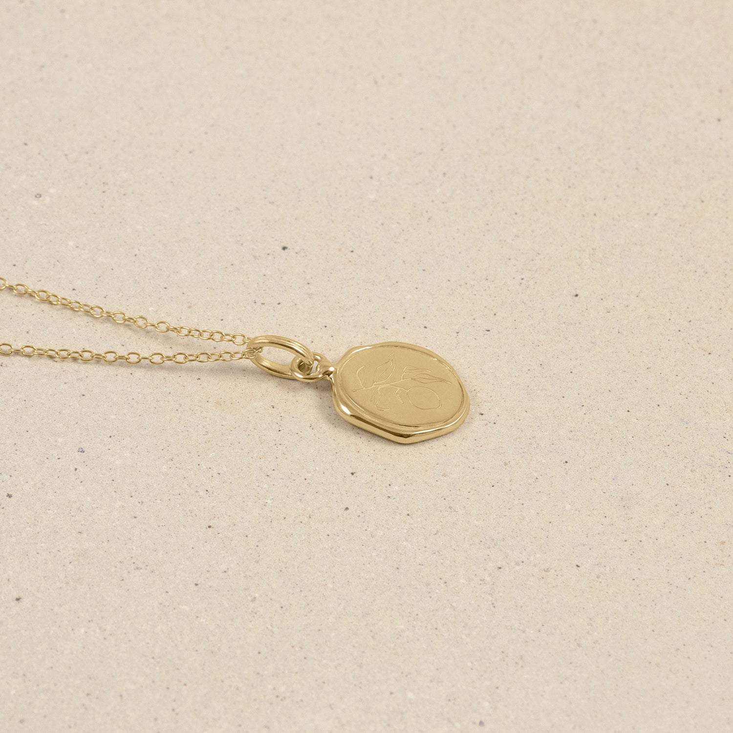 Eden Lemon Seal Necklace | 14k Gold