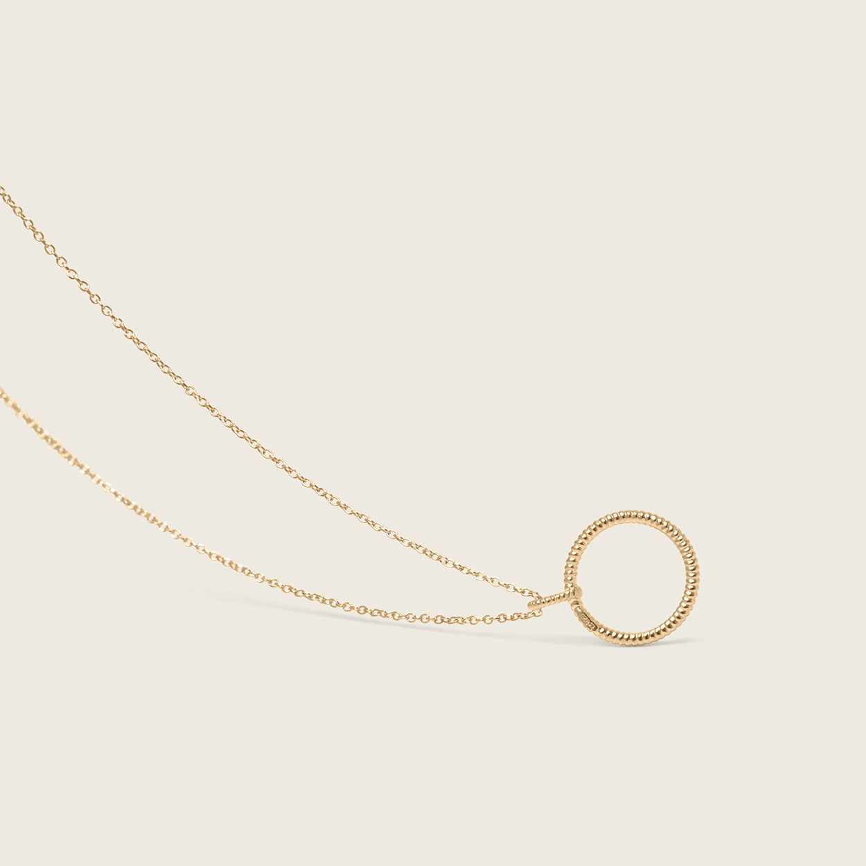 Snake Tail Circle Necklace | 14k Gold