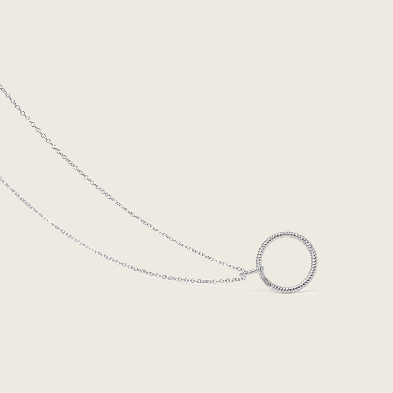 Snake Tail Circle Necklace