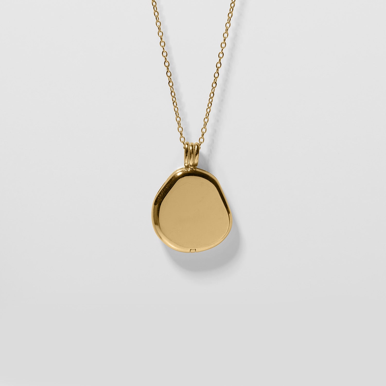 Organic Liquid Locket Necklace | 14k Gold