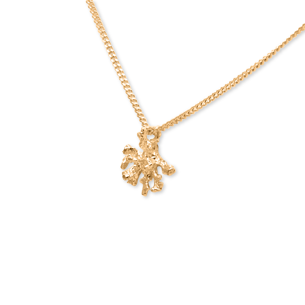 L'Océan Reef Kette Jewelry teetharejade