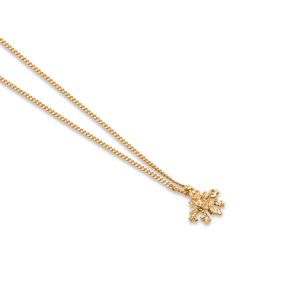 L'Océan Reef Kette Jewelry teetharejade