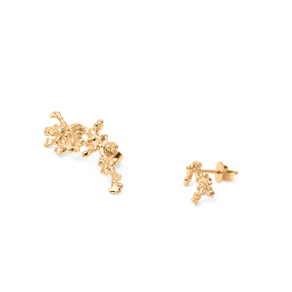 L'Océan Reef Ohrringe Jewelry teetharejade