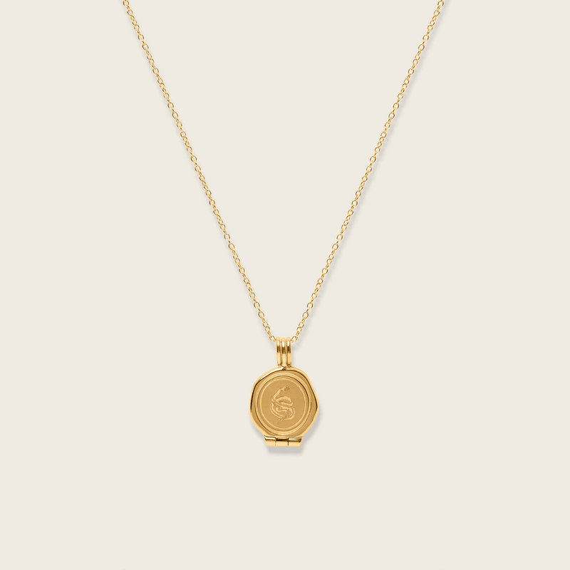 Snake Seal Locket Necklace