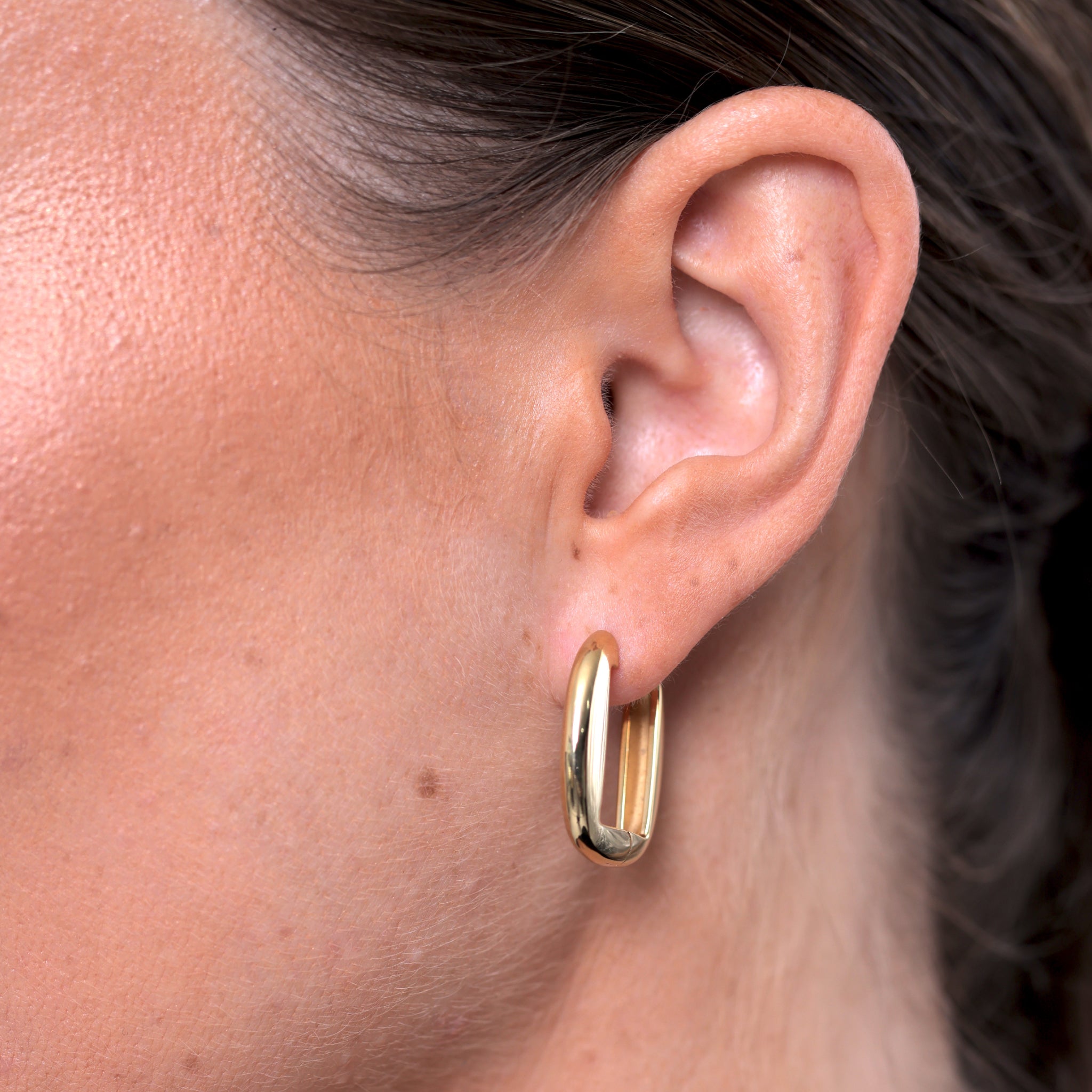Contour Hoops Earrings