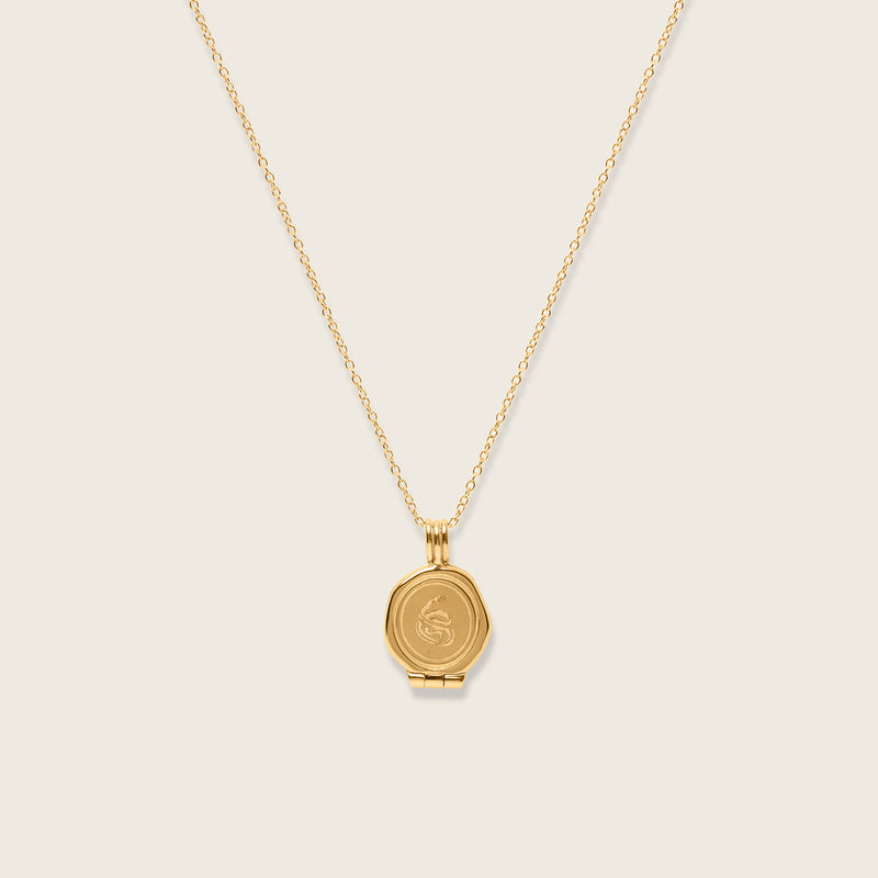 Snake Seal Locket Necklace