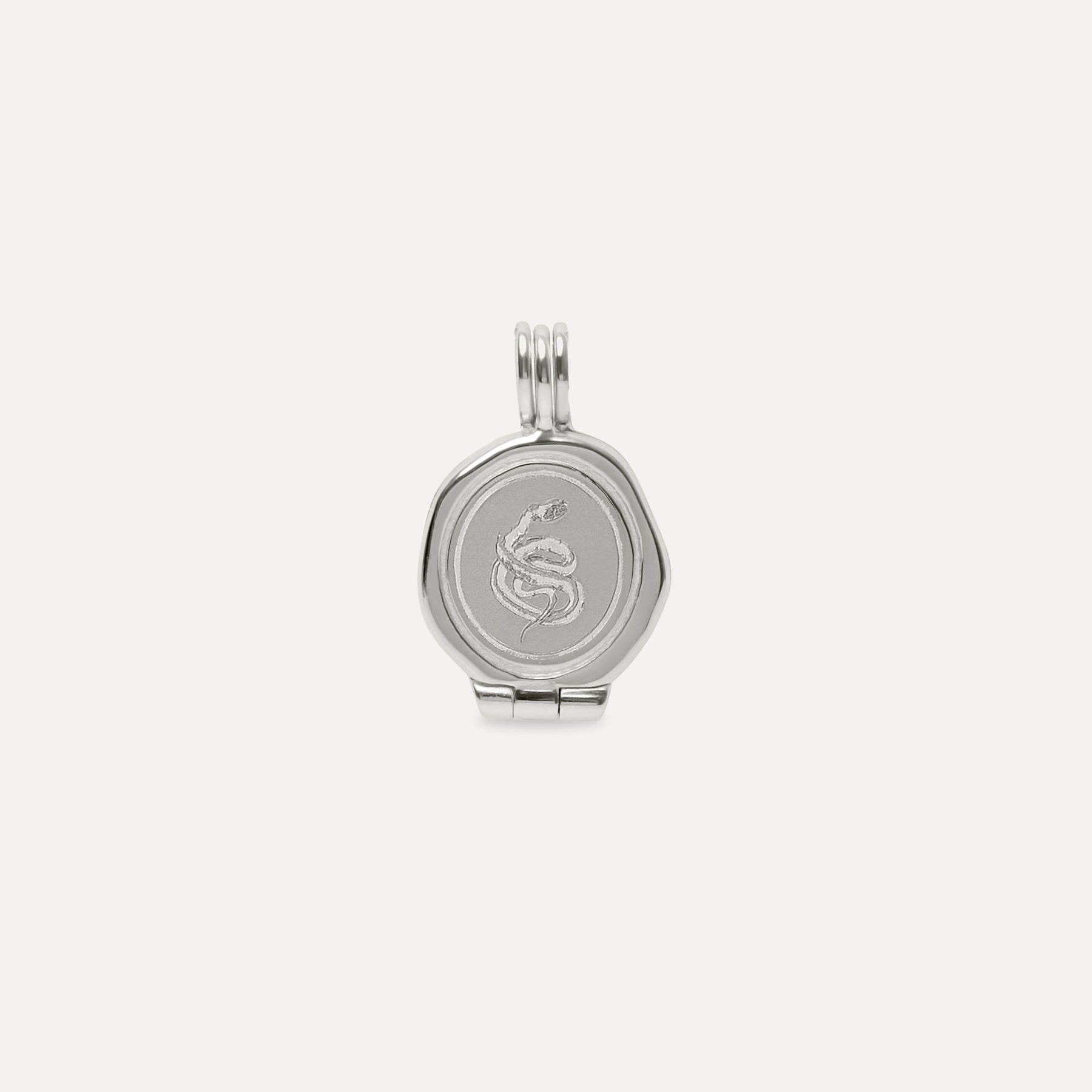 Snake Seal Locket Necklace