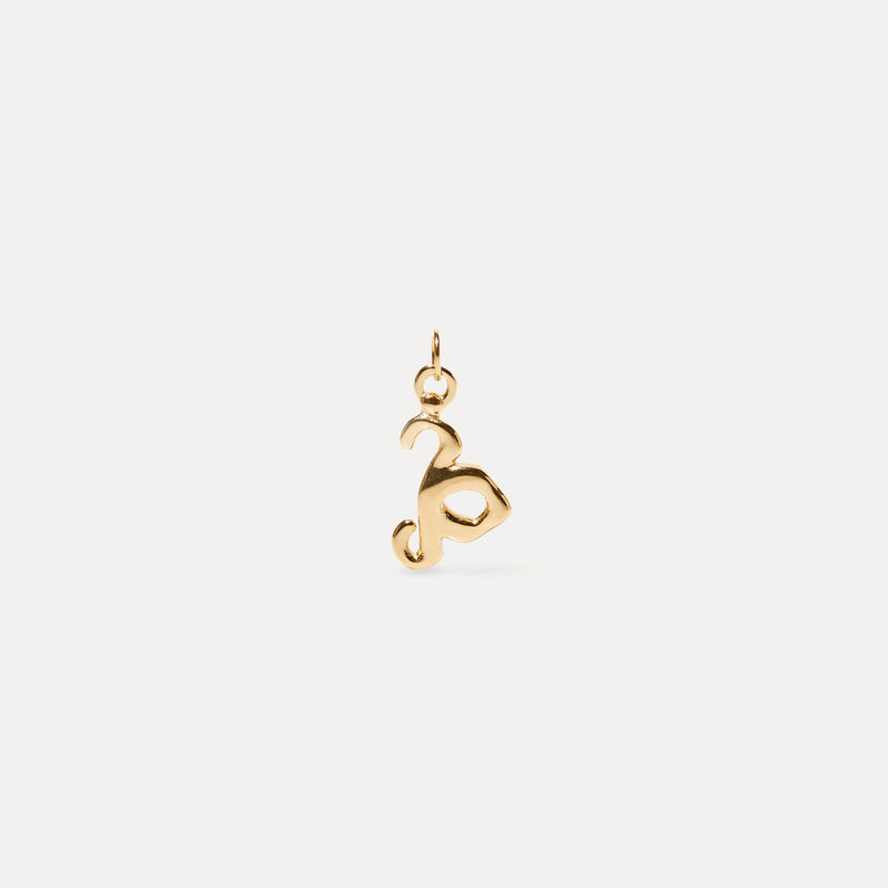 Zodiac Charm Anhänger 14k Massivgold