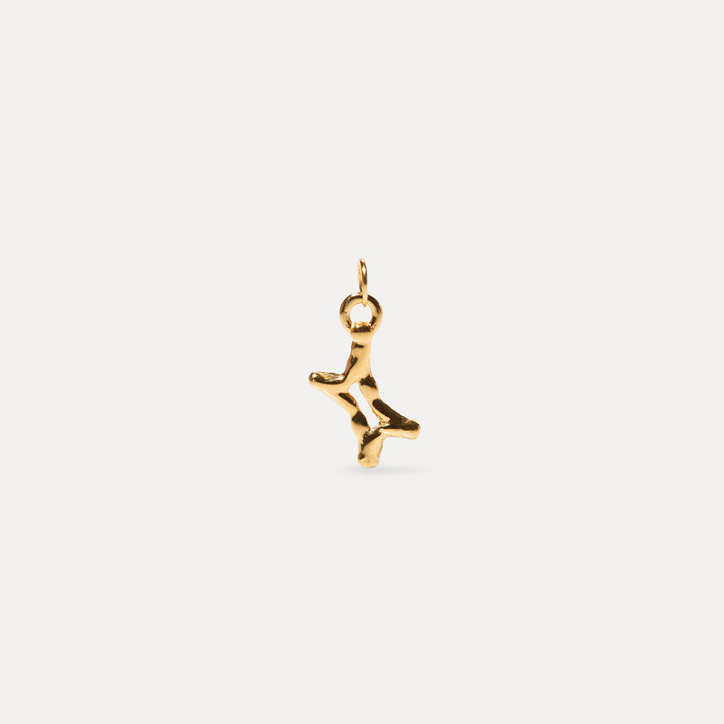 Zodiac Charm Kette