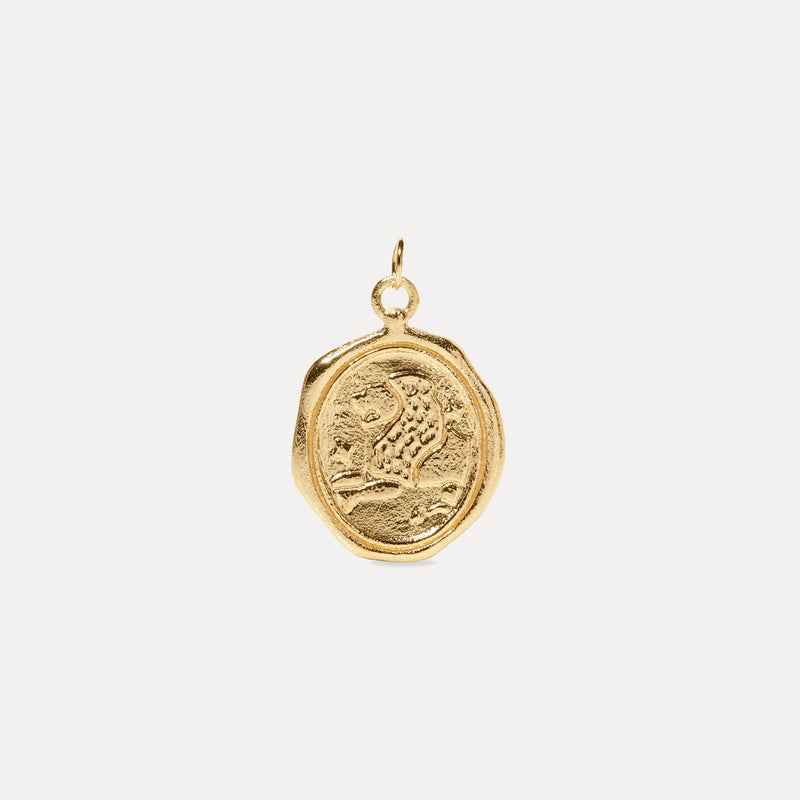 Zodiac Seal Pendant 14k Solid Gold