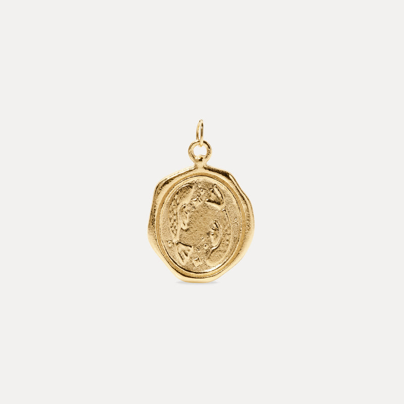 Zodiac Seal Pendant 14k Solid Gold