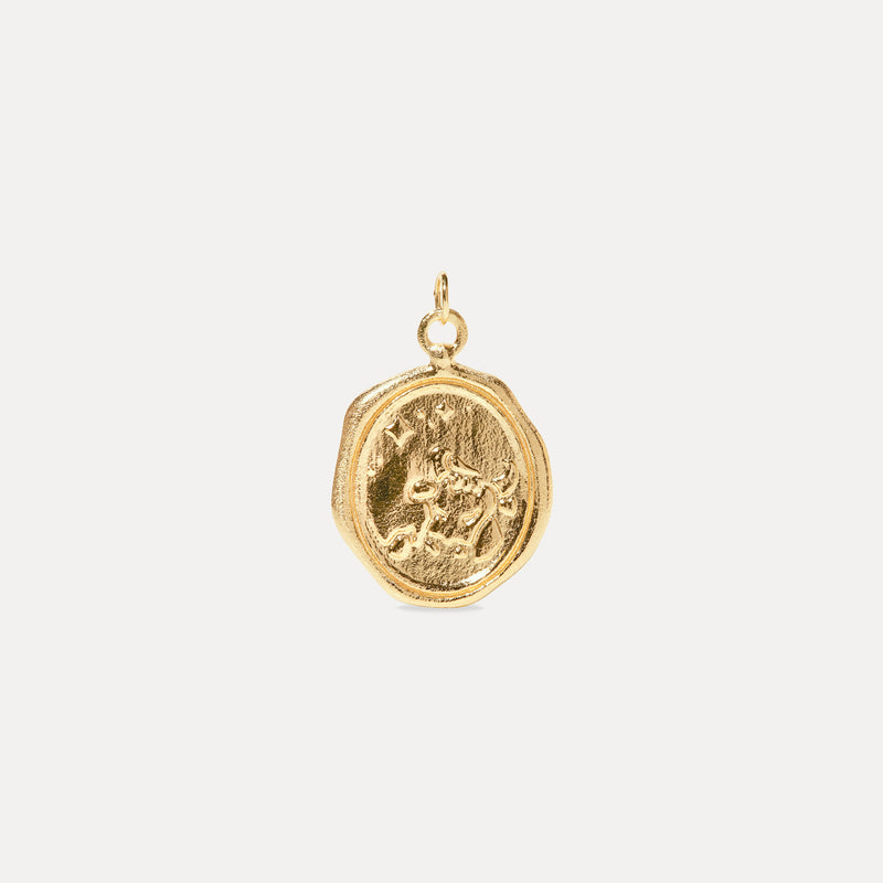 Zodiac Seal Pendant 14k Solid Gold