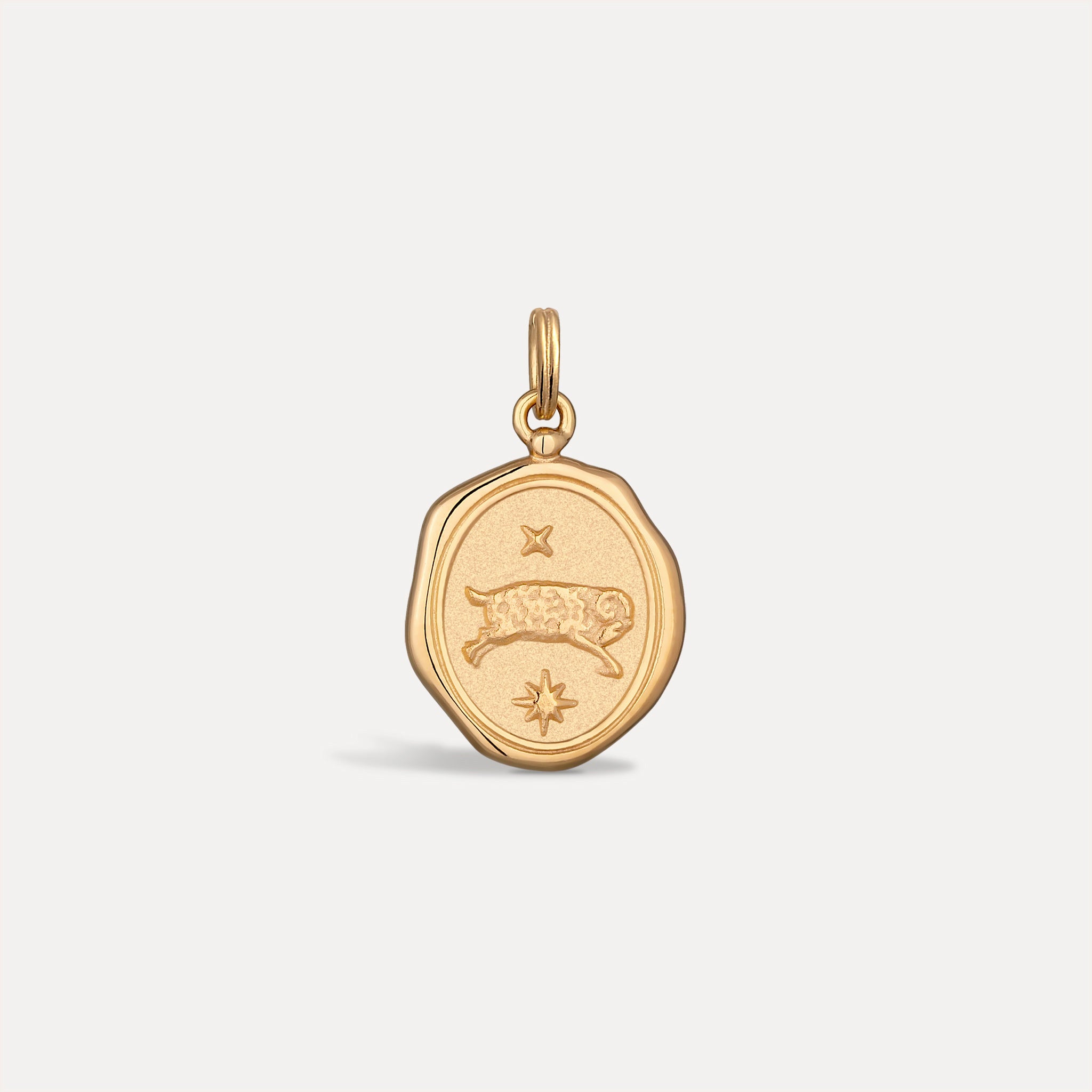 Zodiac Seal Pendant | 14k Gold