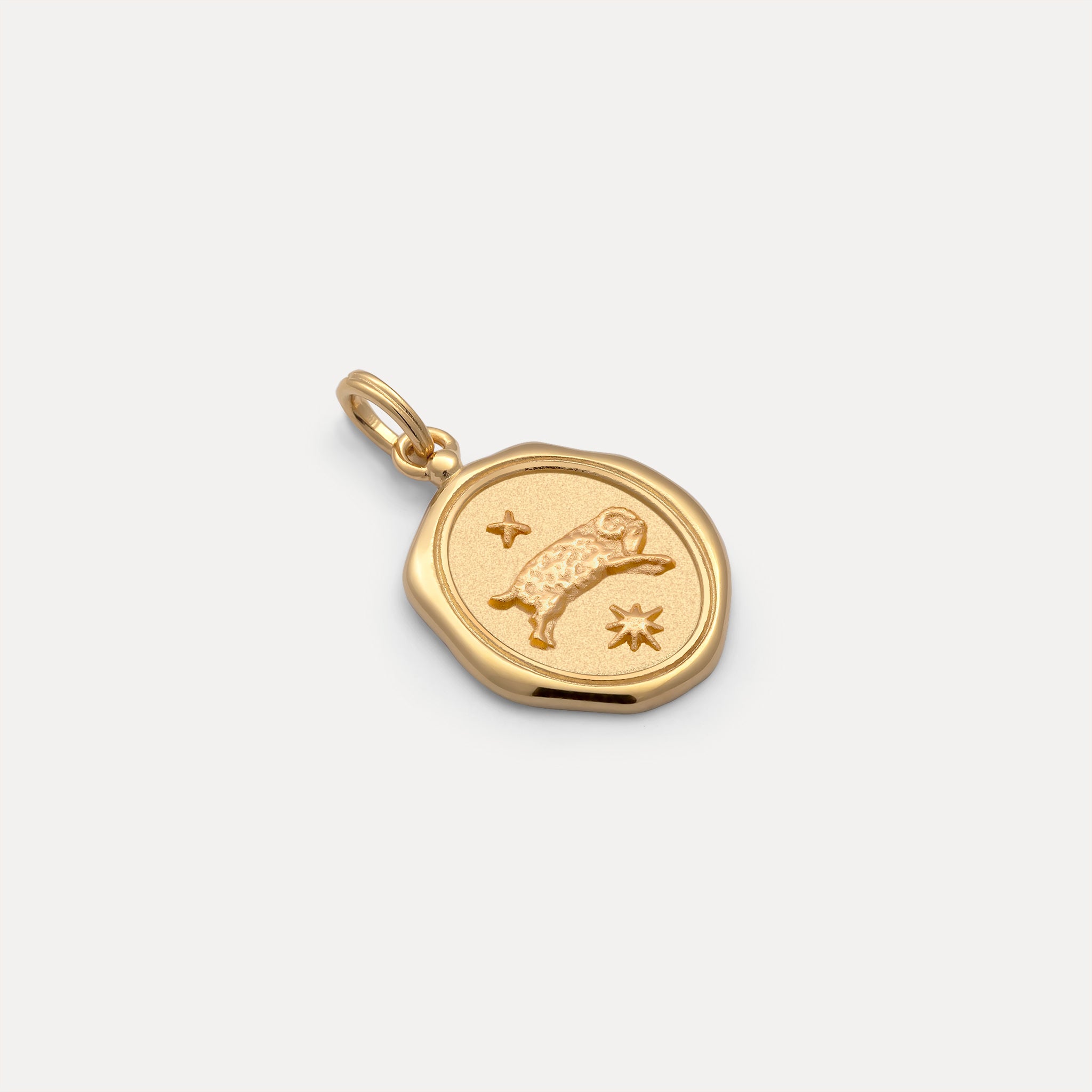 Zodiac Seal Pendant | 14k Gold