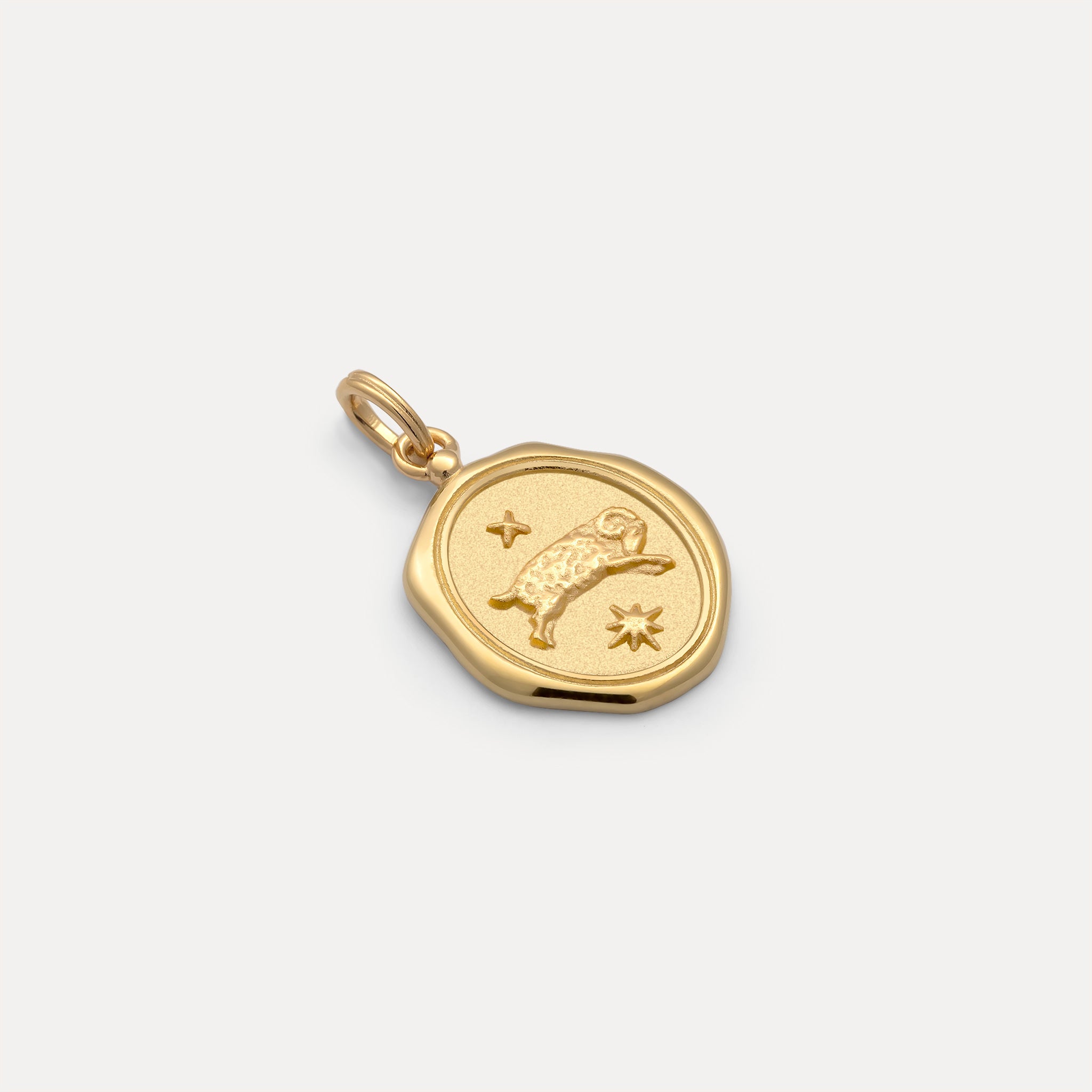 Zodiac Seal Pendant