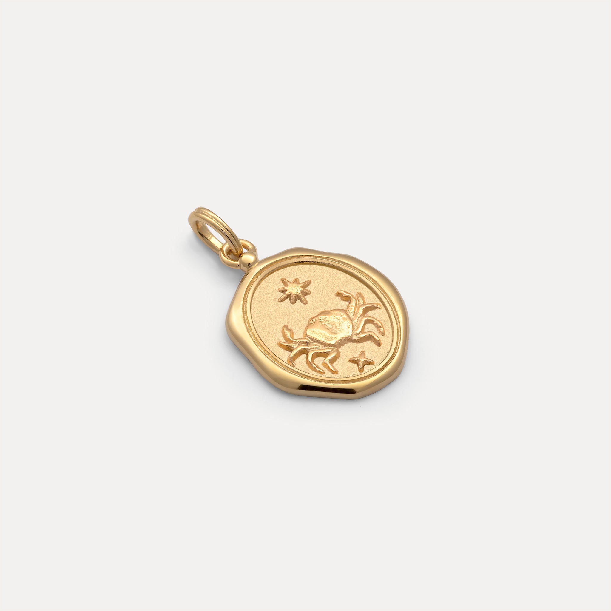 Zodiac Seal Pendant | 14k Gold