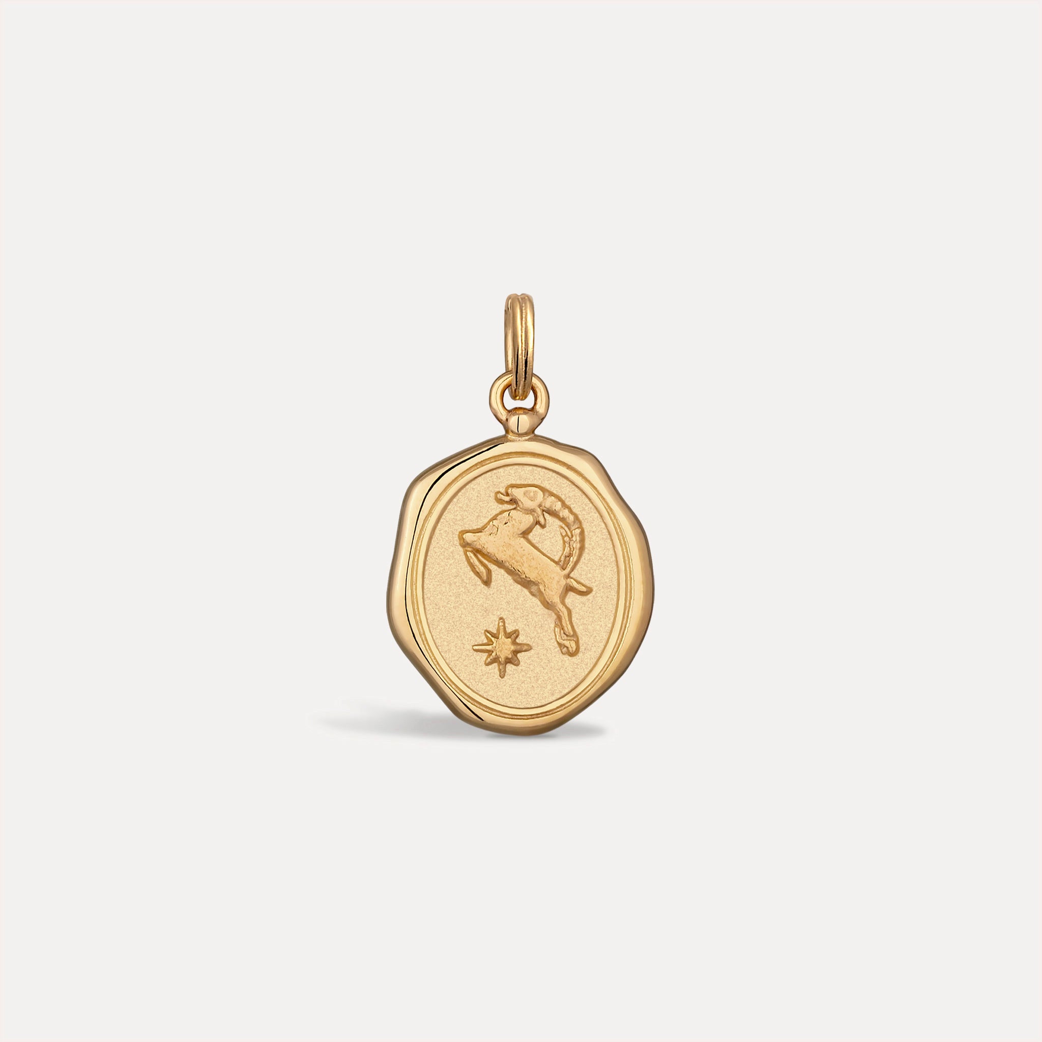 Zodiac Seal Pendant | 14k Gold