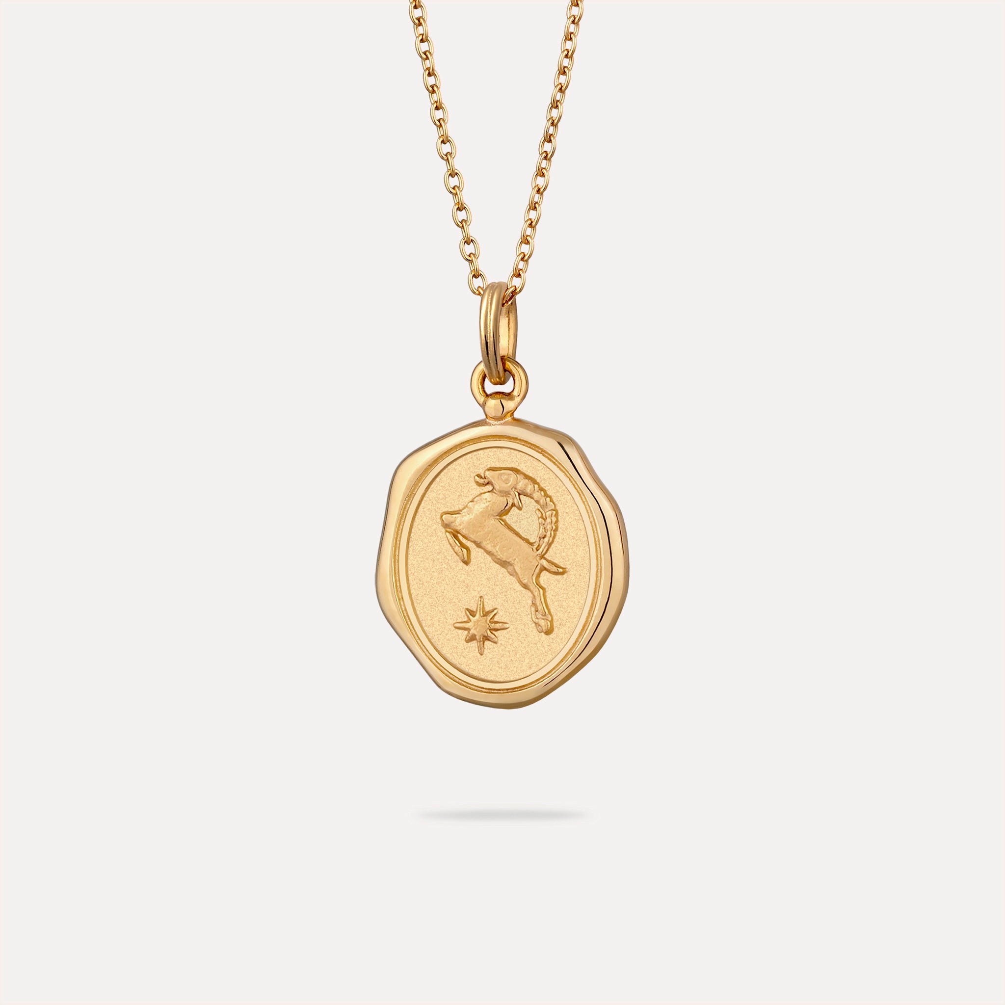 Zodiac Seal Pendant | 14k Gold