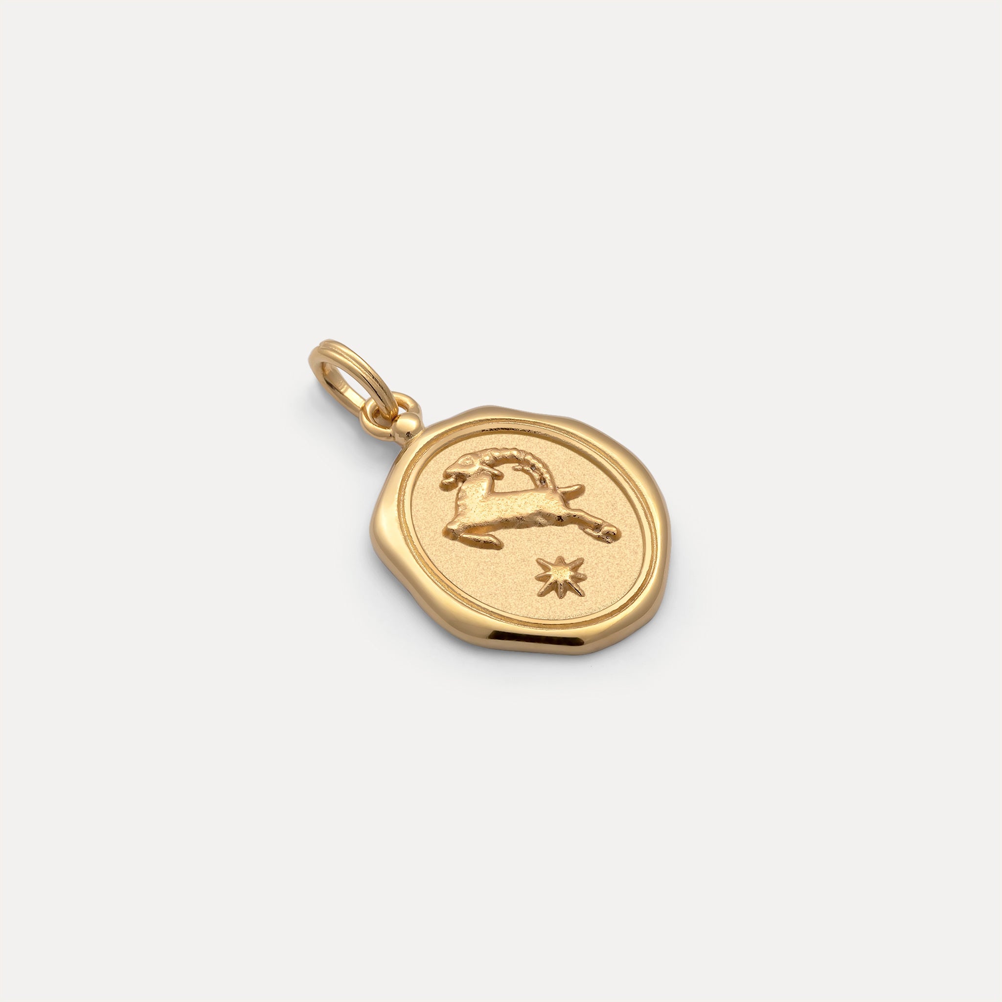 Zodiac Seal Pendant | 14k Gold