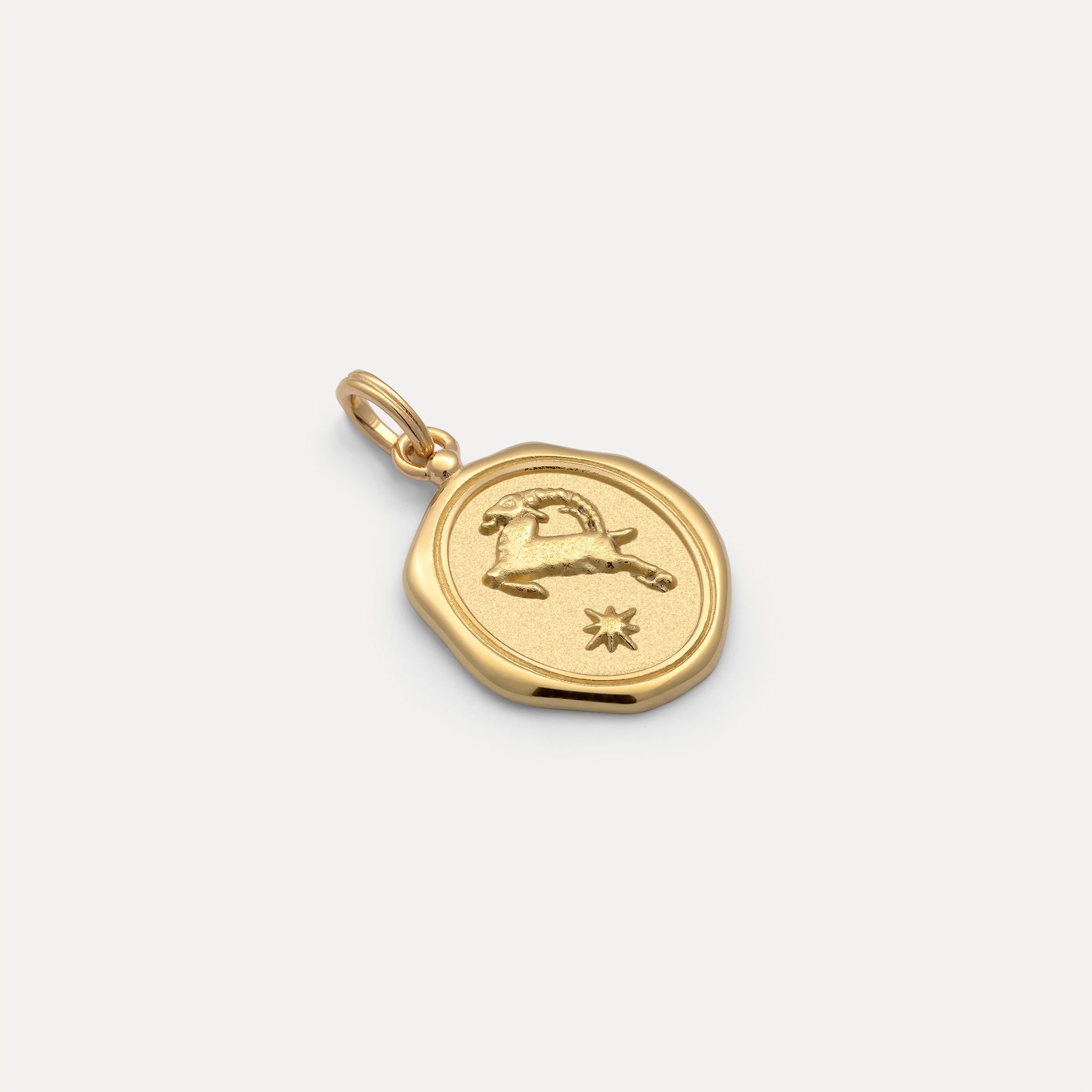 Zodiac Seal Pendant